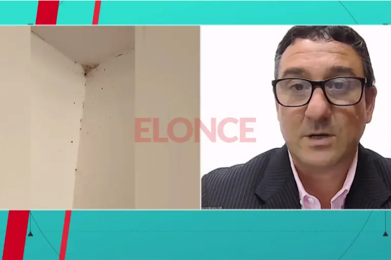 Invasión de garrapatas: fumigarán dos escuelas de María Grande