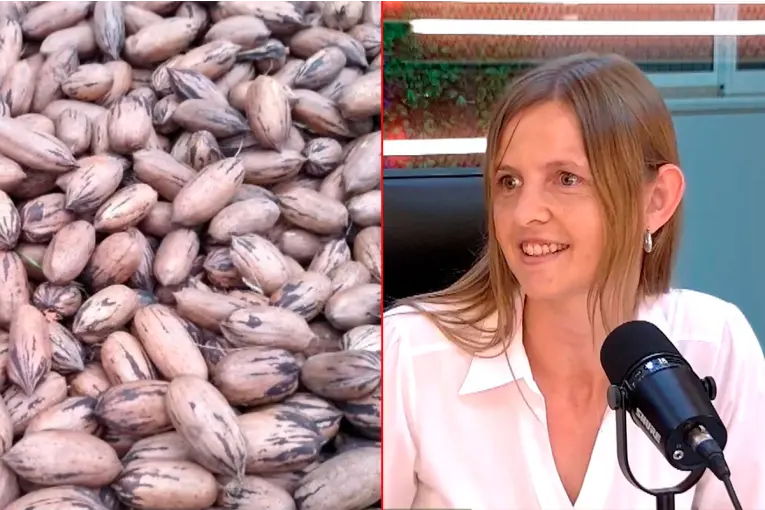 Entre Ríos consolida su liderazgo en Nuez Pecán: inversión, riego y paciencia para un cultivo de perfil exportador