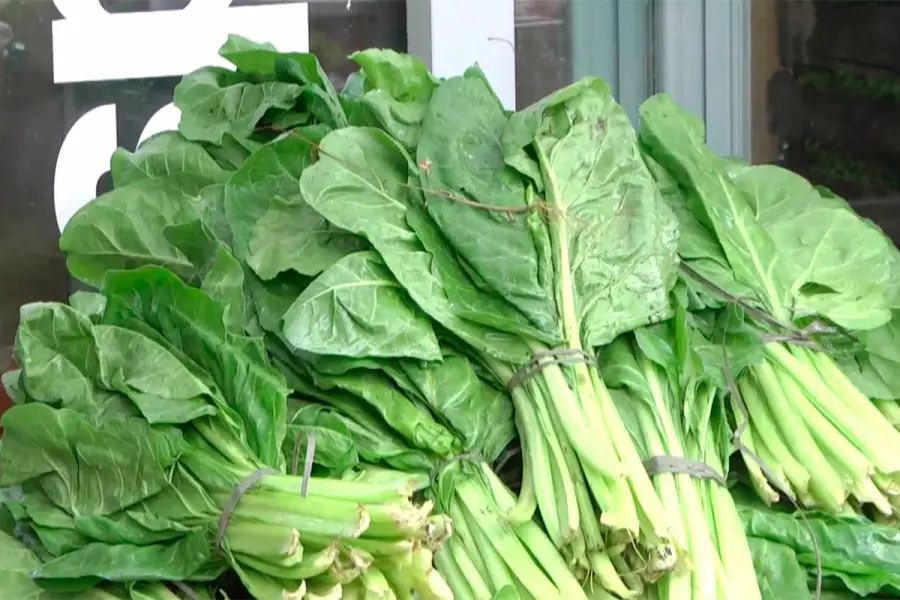La Cooperativa del Parque ofreci&oacute; verduras frescas a precios accesibles