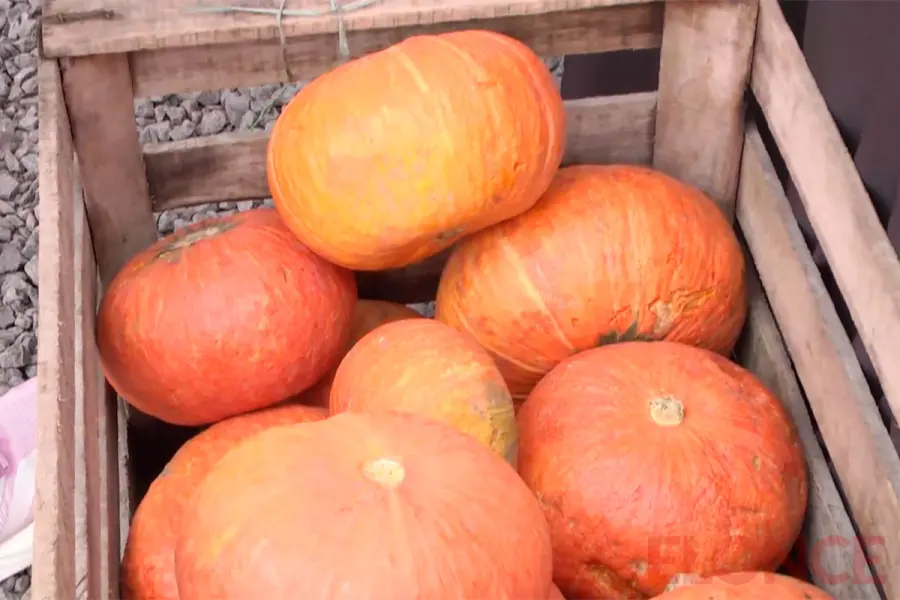 La Cooperativa del Parque ofreci&oacute; verduras frescas a precios accesibles