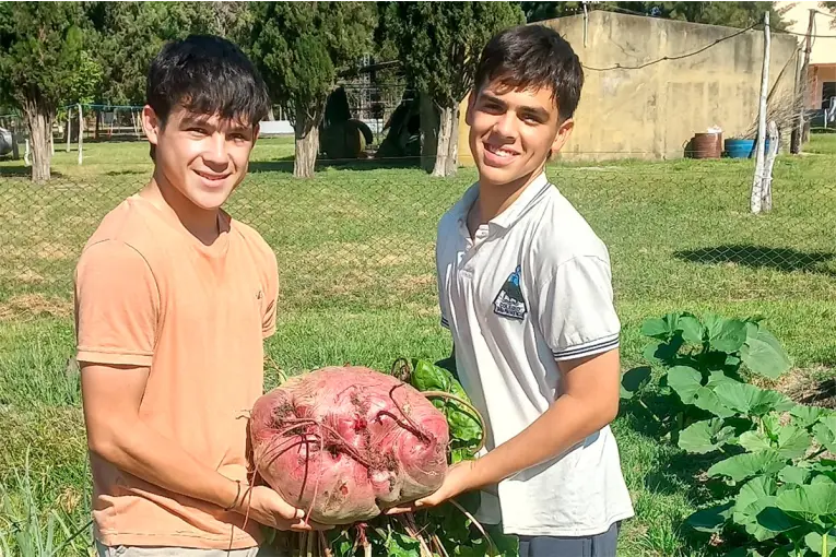 Estudiantes de escuela agrotécnica de Entre Ríos cosecharon una remolacha gigante
