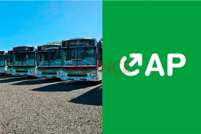 Nuevo servicio de colectivos en Paraná: Cómo bajar la app para consultar recorridos, paradas y frecuencias