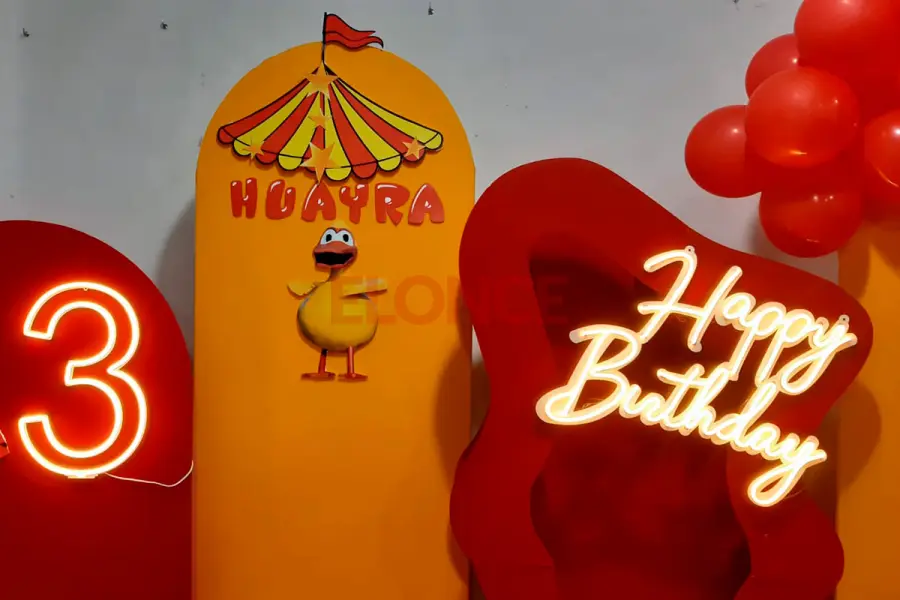 El Patito Sirir&iacute;, protagonista. Foto: Elonce.