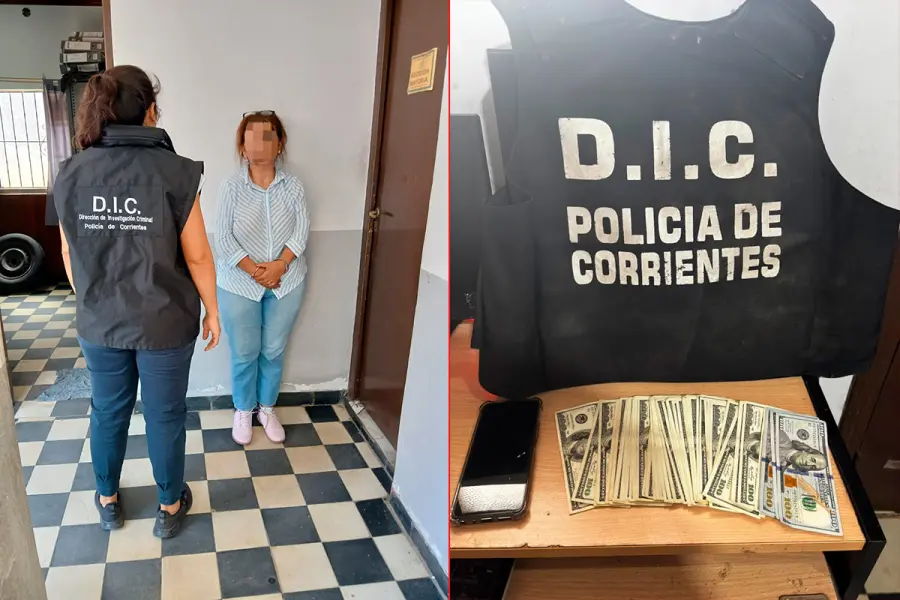 &ldquo;Viuda negra&rdquo; durmi&oacute; a su v&iacute;ctima, le rob&oacute; el veh&iacute;culo, su dinero y el celular (foto Polic&iacute;a de Entre R&iacute;os)