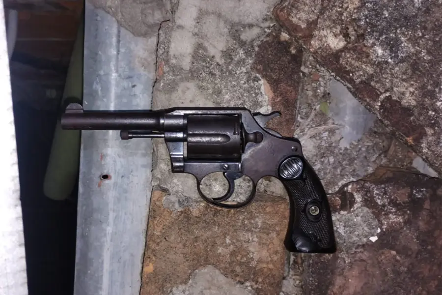 El arma utilizada para cometer el hecho