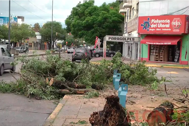Defensa Civil trabaja tras la tormenta en Paraná: árboles caídos, daños materiales y alerta vigente