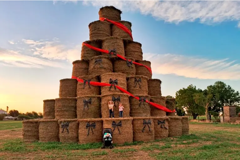 Productor santafesino armó un árbol navideño con fardos y transformó la imagen de su pueblo
