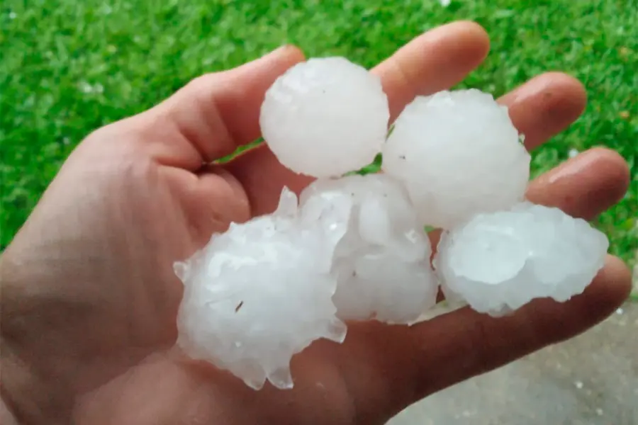 Foto: Archivo Elonce.