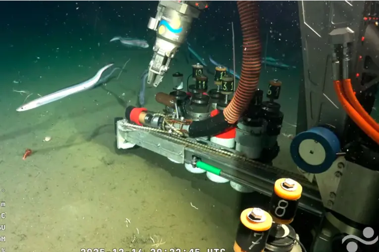 “Vida en los extremos”, la nueva expedición del Conicet en el Mar Argentino que se puede ver en vivo