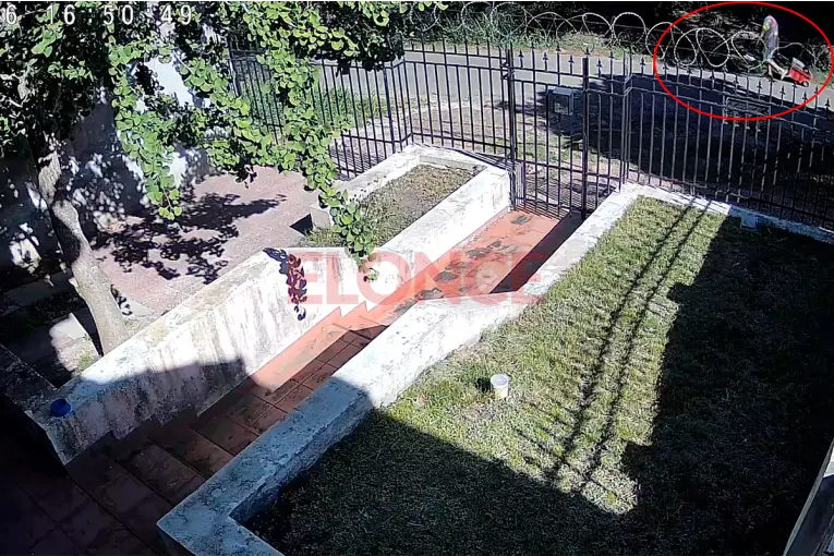 Video: así se produjo el robo de una caja de herramientas del interior de una camioneta en Paraná