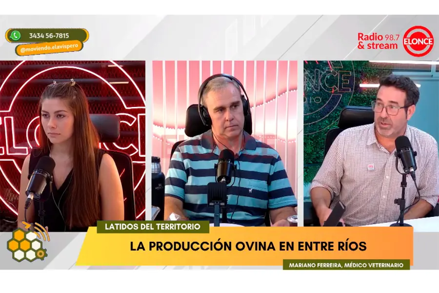 Mariano Ferreira, responsable del M&oacute;dulo Ovino de la Experimental Paran&aacute; de INTA (foto Elonce)