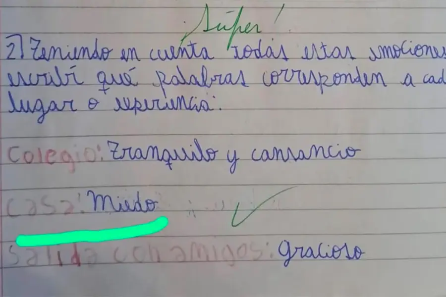 &ldquo;Casa = miedo y caras tristes&rdquo; a estremecedora tarea escolar del nene antes de ser asesinado por su padre