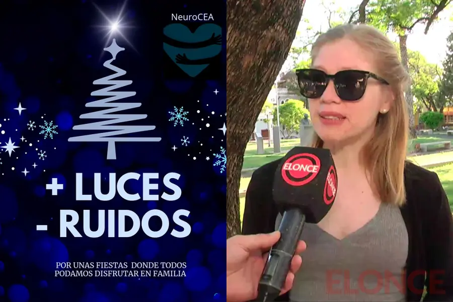 &ldquo;M&aacute;s luces, menos ruidos&rdquo; / Amar&uacute; M&eacute;ndez, de NeuroCEA (foto Elonce)
