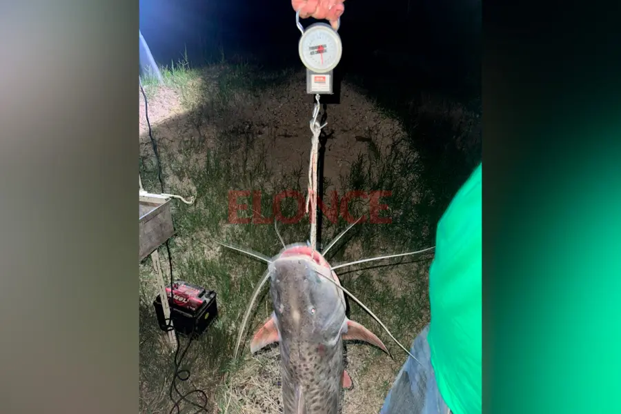 Joven pesc&oacute; un pat&iacute; de gran tama&ntilde;o en Villa Urquiza