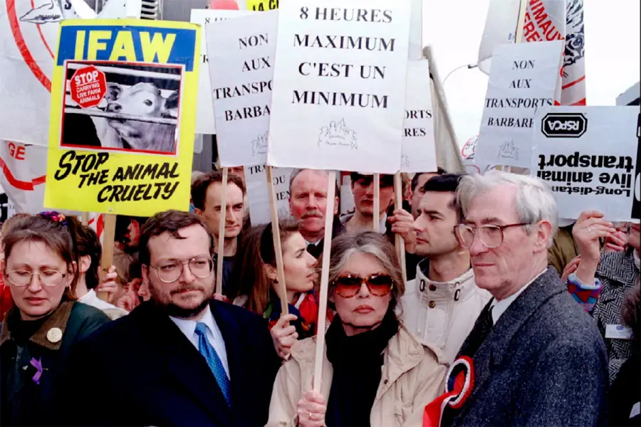 La Fondation Brigitte Bardot, creada en 1986, lider&oacute; campa&ntilde;as internacionales contra el maltrato animal y la experimentaci&oacute;n con animales (foto archivo REUTERS)