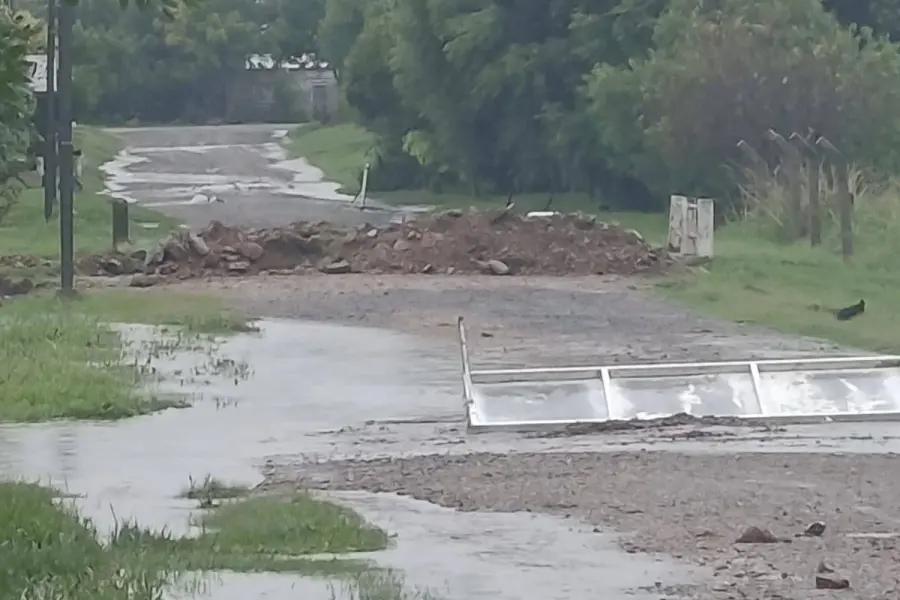 Foto: Despierta Feliciano.