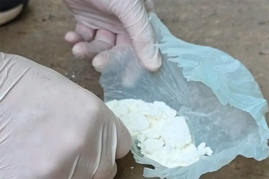 Allanamientos por robo en un vivero: secuestraron un arma y detuvieron a un hombre