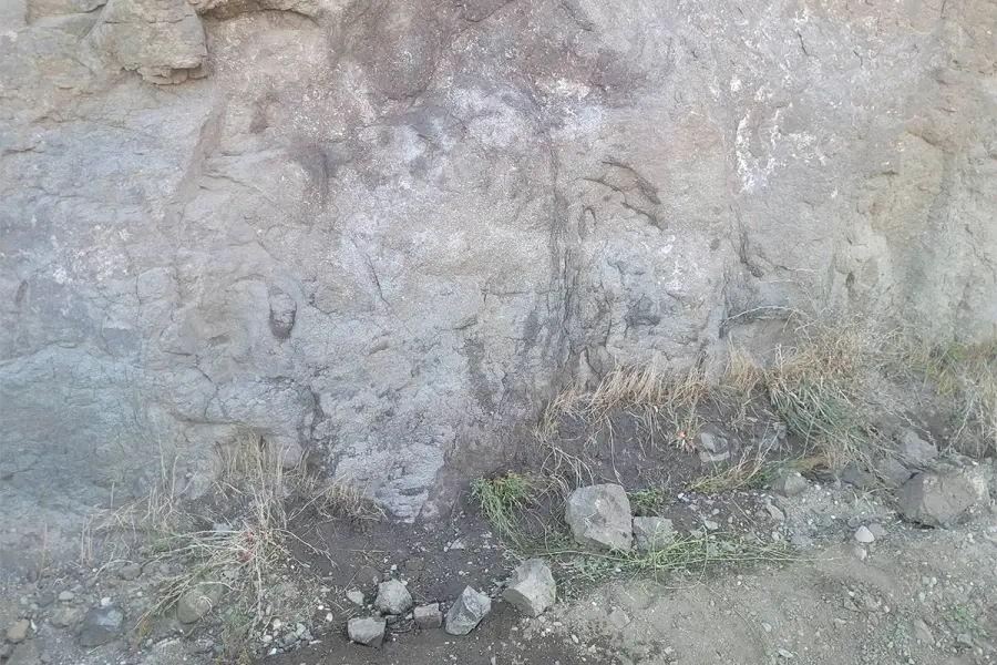 La empresa limpi&oacute; la pintura de la piedra
