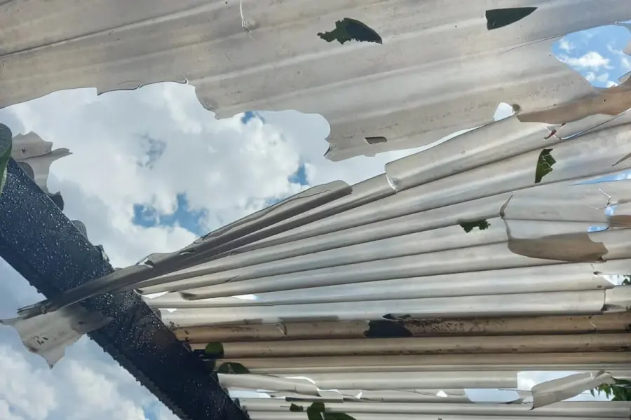 Los da&ntilde;os en un techo tras la ca&iacute;da del granizo. Foto: El Doce TV.