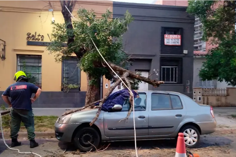 Una rama de un árbol se cayó y destruyó parte del techo de un auto en Paraná