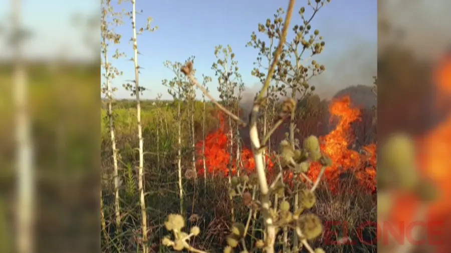 El incendio se desarroll&oacute; principalmente en la zona de ingreso. Foto: Elonce.
