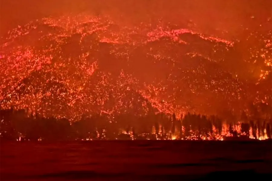 Incendio Chubut. Foto: Archivo.