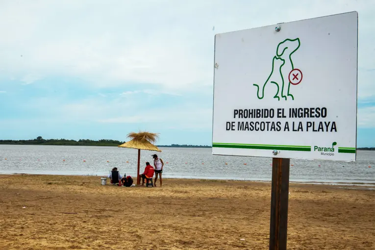 Aclararon la situación de las mascotas en el balneario Thompson: habrá una zona exclusiva