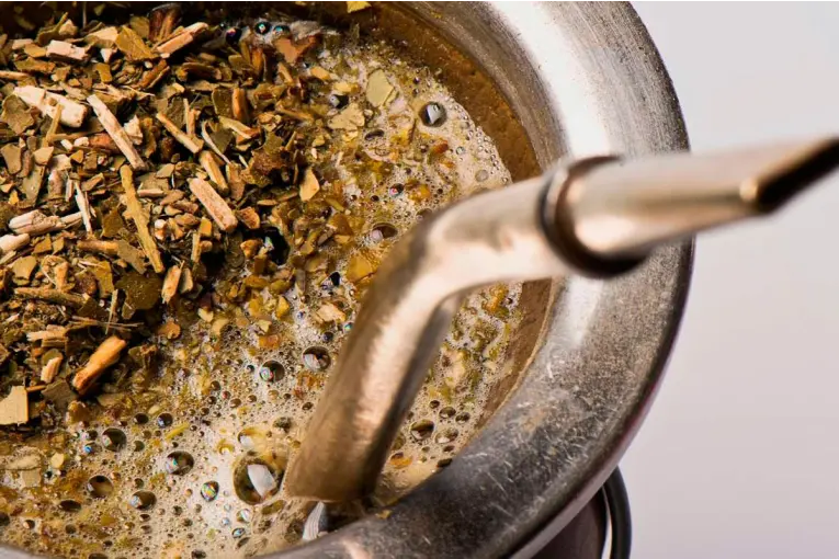 Un estudio científico afirma que las propiedades del mate podrían retrasar el Parkinson
