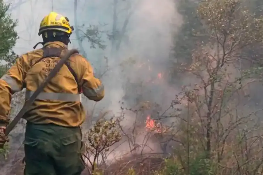 Incendios en la Patagonia: el fuego sigue activo y ya afect&oacute; m&aacute;s de 5 mil hect&aacute;reas
