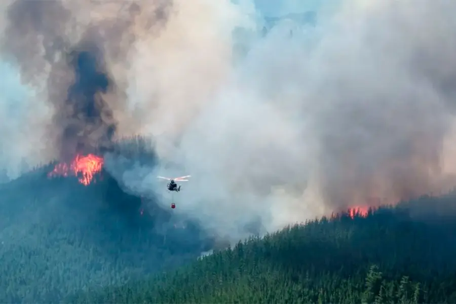 Incendios en la Patagonia: el fuego sigue activo y ya afect&oacute; m&aacute;s de 5 mil hect&aacute;reas
