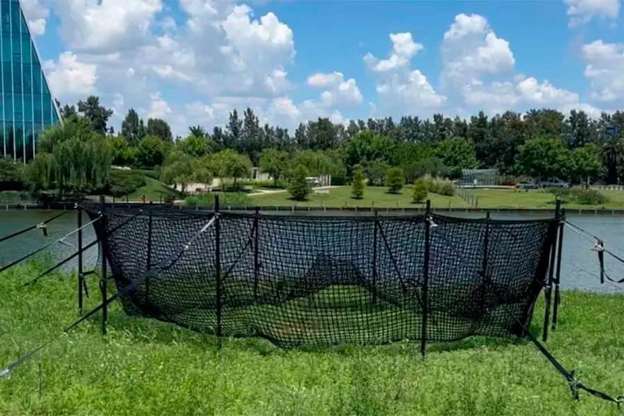 Pese a una cautelar, avanz&oacute; un operativo para desalojar carpinchos en Nordelta