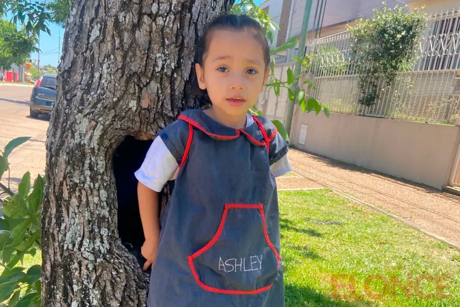 Ni&ntilde;a de tres a&ntilde;os necesita implantes auditivos y su familia lanz&oacute; colecta solidaria