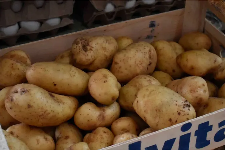 El kilo de papa duplicó su valor en pocos días y se vende a $1.200: fuerte impacto en el consumo básico