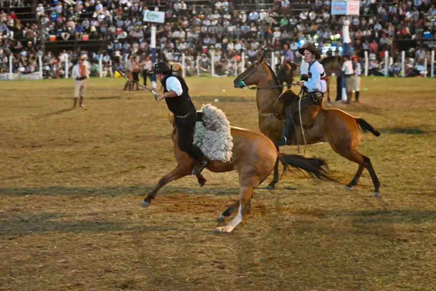 Festival Nacional de Jineteada y Folclore de Diamante