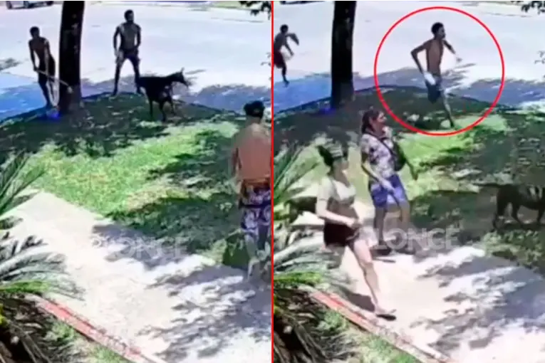 Difundieron imágenes de la pelea con cuchillos que terminó con cinco demoradas: video