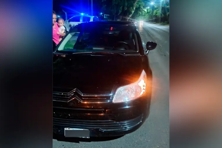 Volvía de vacaciones y chocó contra un ciervo en una avenida de Paraná