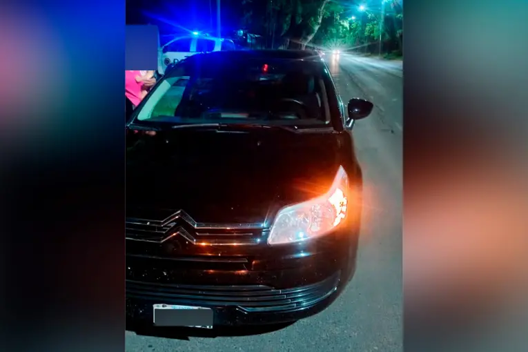 Volvía de vacaciones y chocó contra un ciervo en una avenida de Paraná