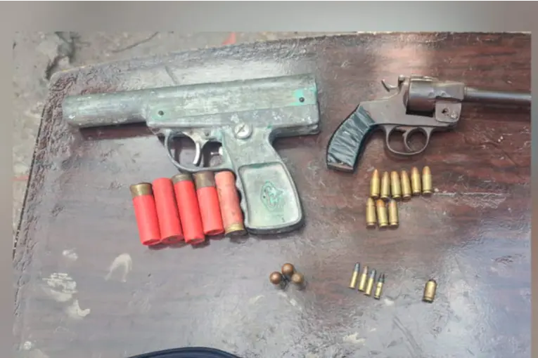 Qué es la “mata gatos”, la pistola que secuestraron tras allanamiento por amenazas en Paraná