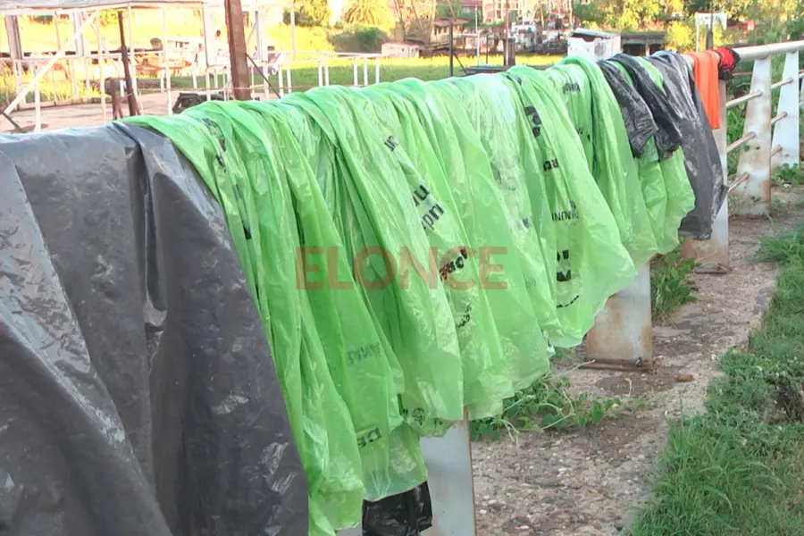 Los j&oacute;venes recolectaron m&aacute;s de 10 bolsas de residuos