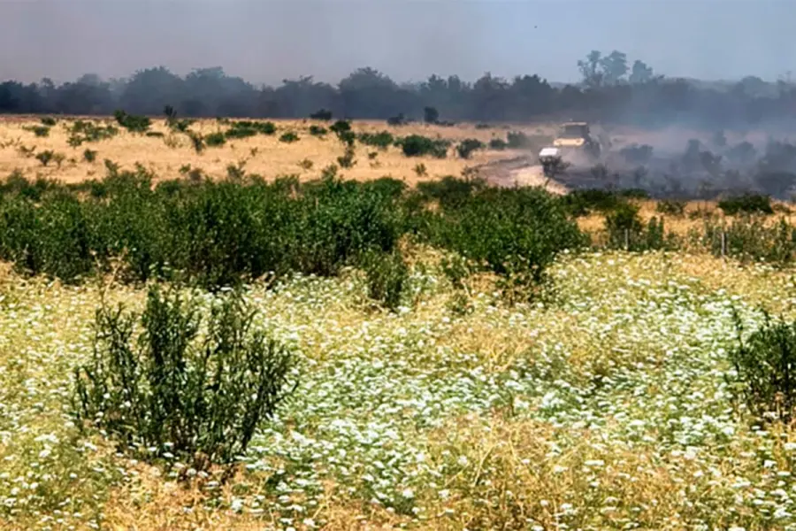 Productores alertan por "fuertes p&eacute;rdidas en ma&iacute;z y soja" en el sur entrerriano