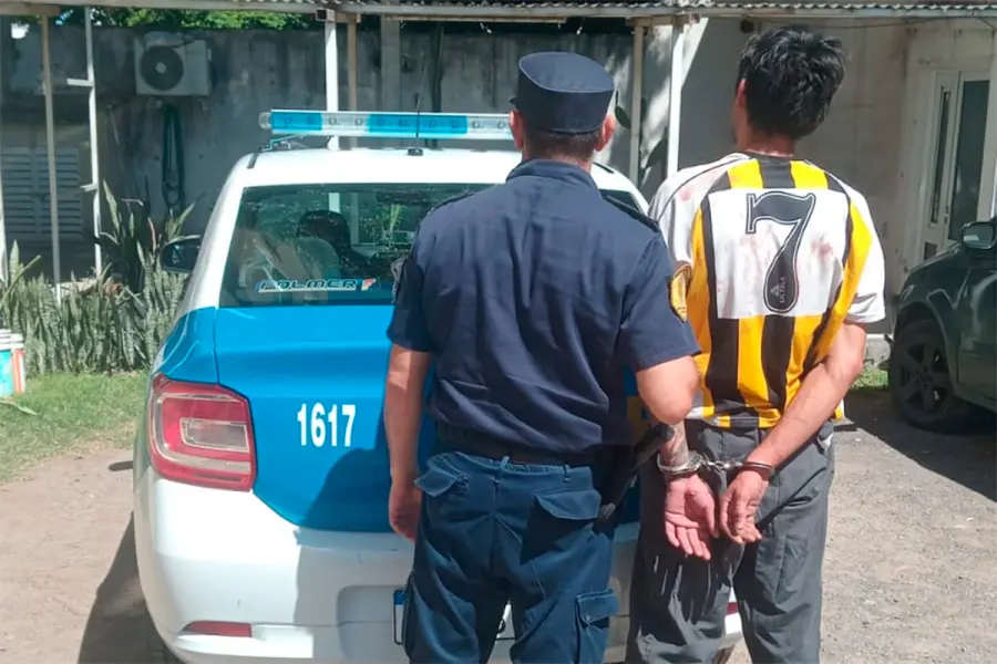 El detenido por la polic&iacute;a