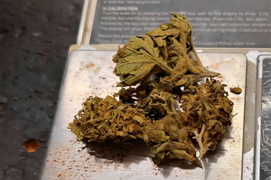 Tras una denuncia por amenazas, secuestraron un arma r&eacute;plica y drogas