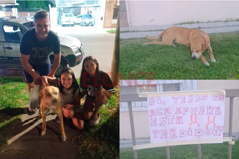 Una familia recuperó a su perro tras la difusión de un aviso solidario en Elonce