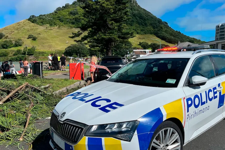 Deslizamiento en Nueva Zelanda. Foto: AP.