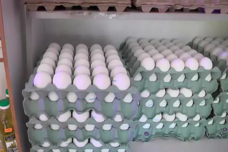 Maple de huevo (foto Elonce)