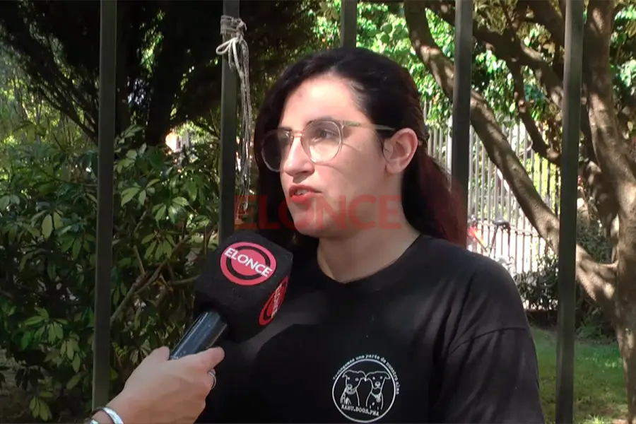 Desde Kahu Dogs hablaron de su preocupaci&oacute;n. Foto: Elonce.