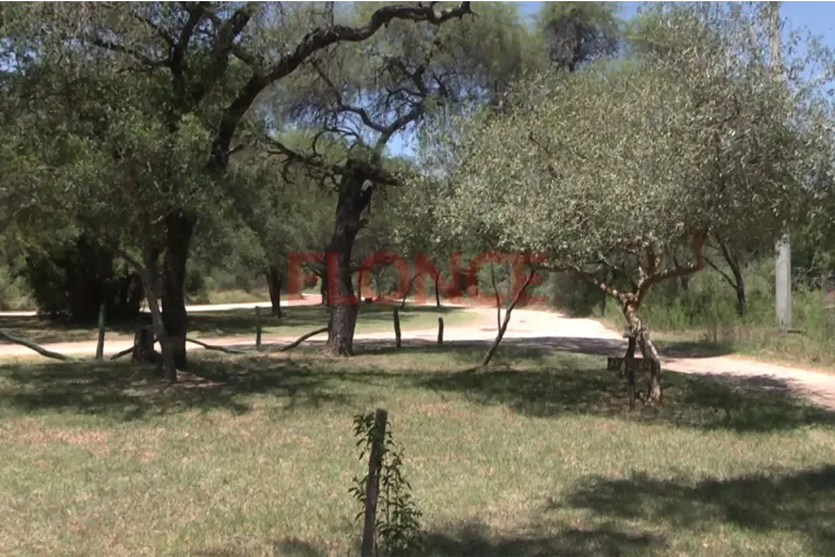El Parque General San Martín, una opción ideal para disfrutar el verano cerca de Paraná