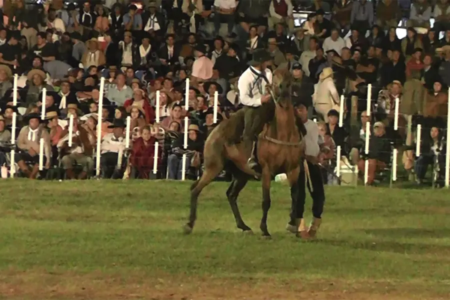 Gentileza: Tierra Gaucha