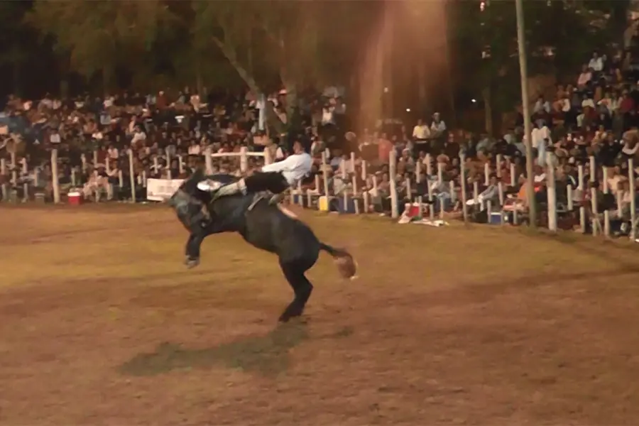 Gentileza: Tierra Gaucha