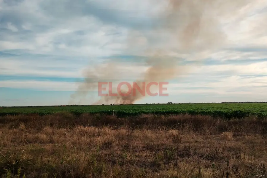 Foto: Elonce.